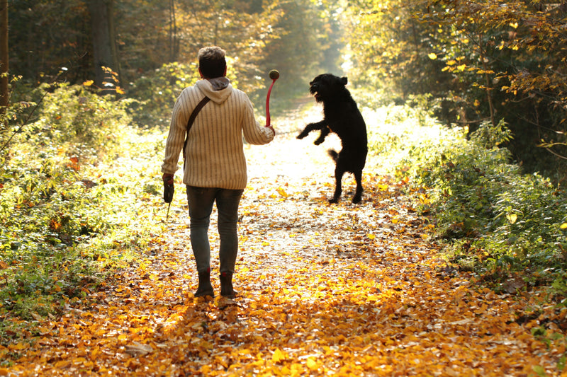 Ground Into the New Season: 5 Rituals for September
