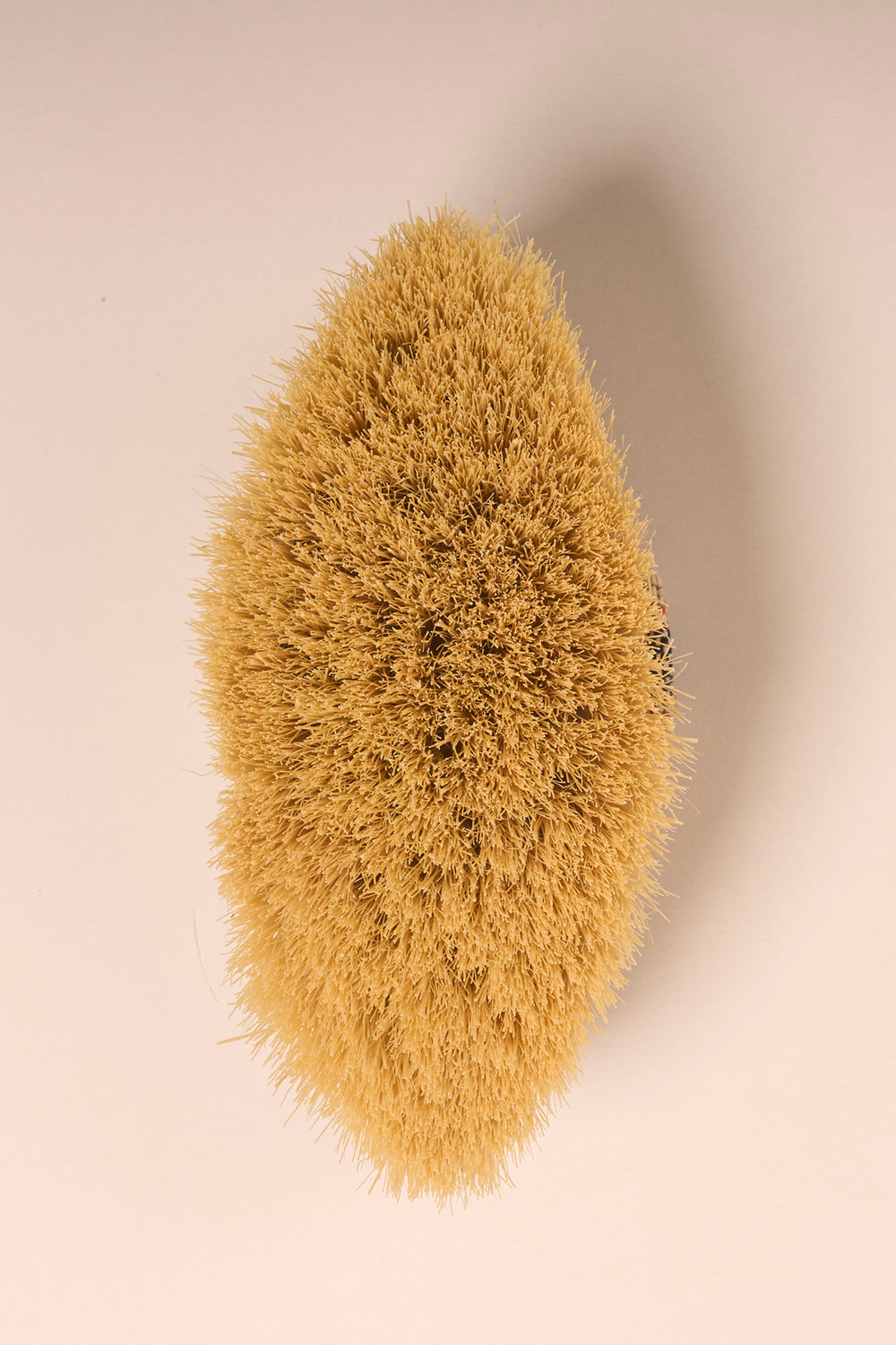 Vose - 100% Cactus Bristle Vegan Body Brush