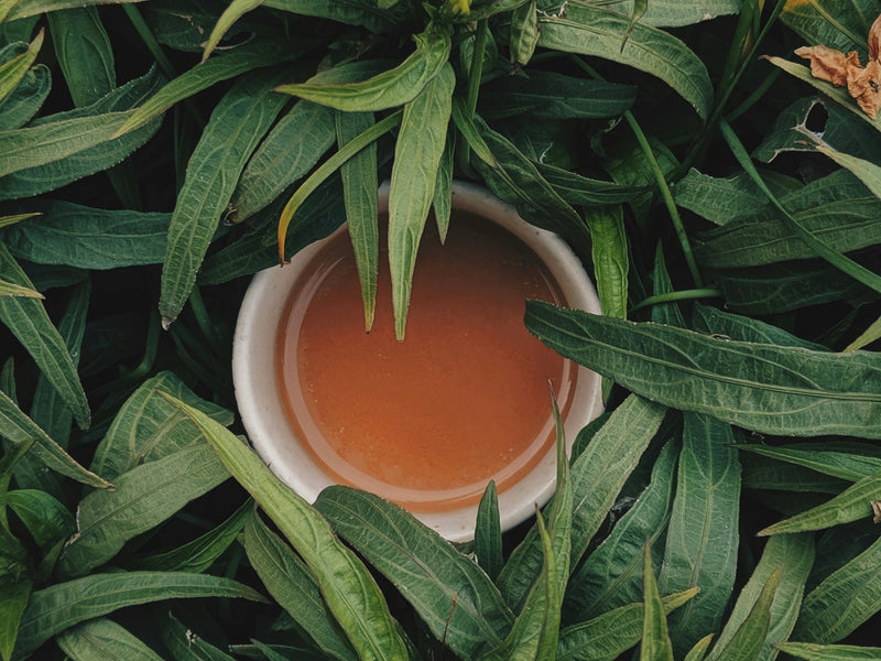 Detox: What It Really Means — And Why Dry Brushing Is the Glow-Up Ritual Your Body Loves