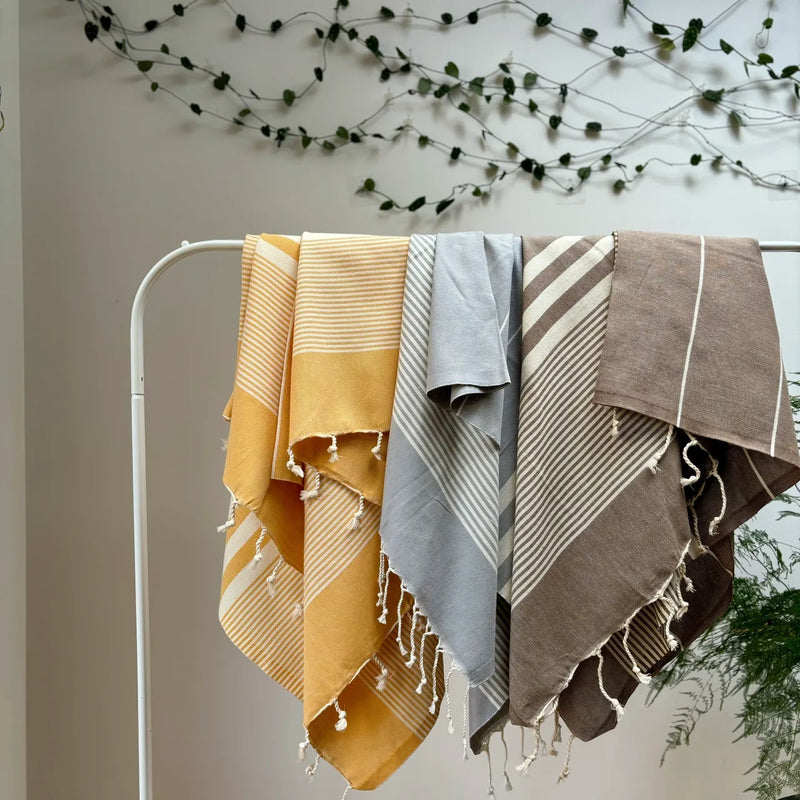 Integrating the Historical Evolution of Turkish Peshtemal Towels