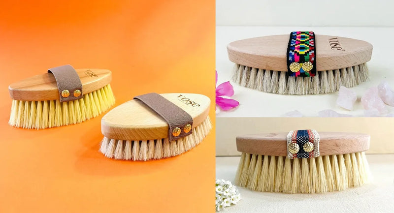 How to Choose the Best Dry Brush: Horse Hair vs. Cactus Bristle