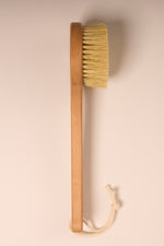 Vose - 100% Cactus Bristle Vegan Body Brush - Long