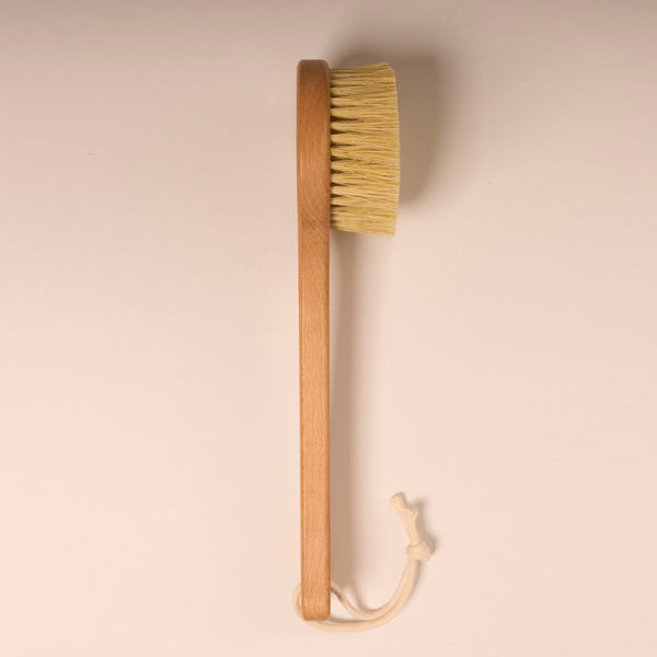 Natural and vegan cactus bristle body brush side view